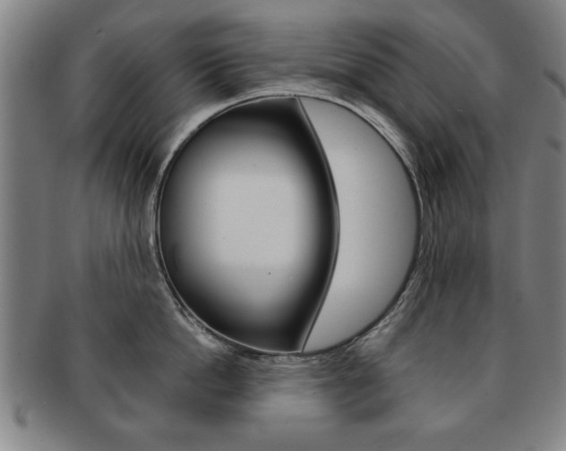 X0000091650862200708231009