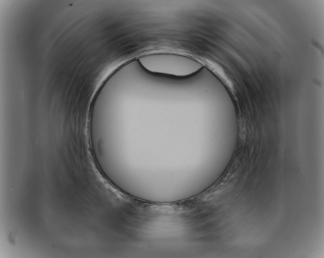 X0000091650863200708231009