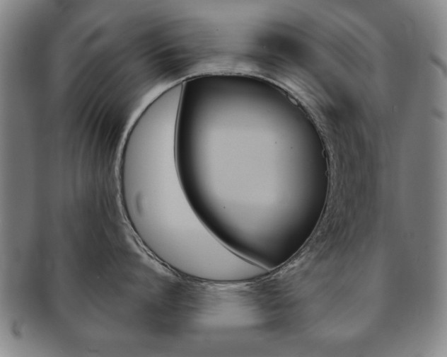 X0000091650864200708231009
