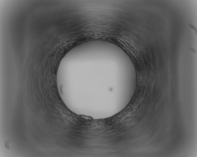 X0000091650865200708231008