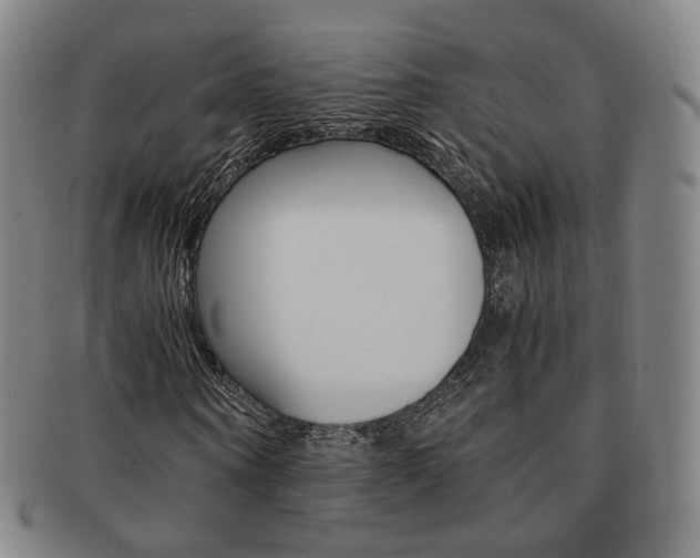 X0000091650866200708231008