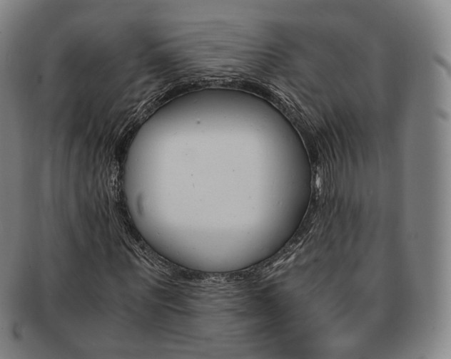 X0000091650867200708231008