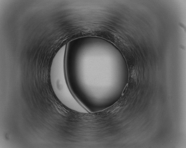 X0000091650868200708231008