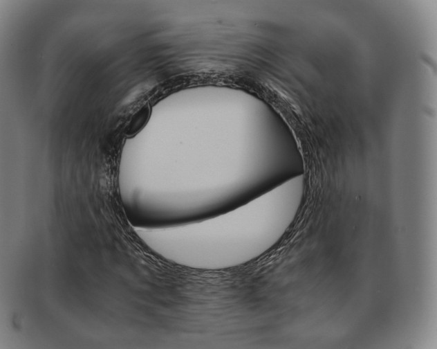 X0000091650869200708231008