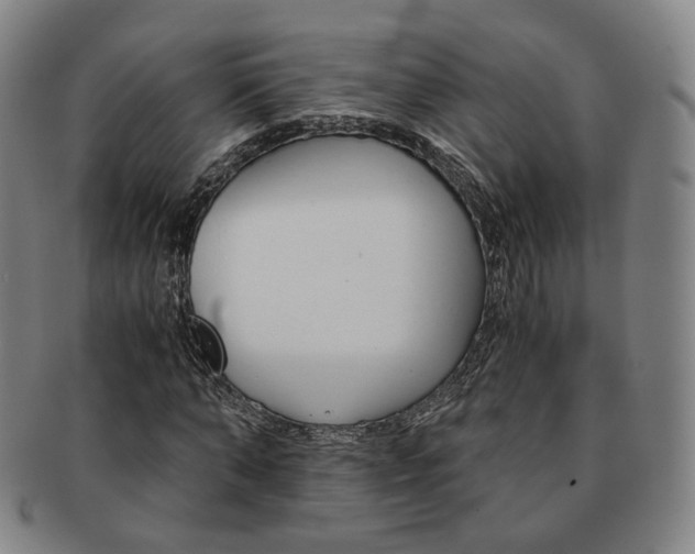 X0000091650870200708231008