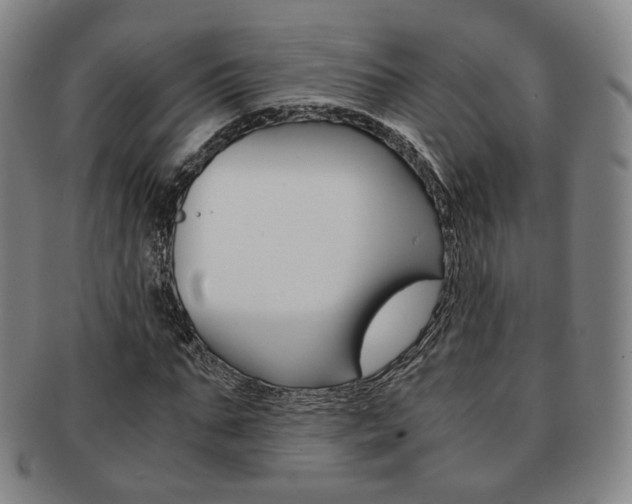 X0000091650871200708231008