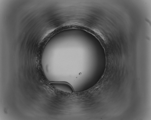 X0000091650872200708231008