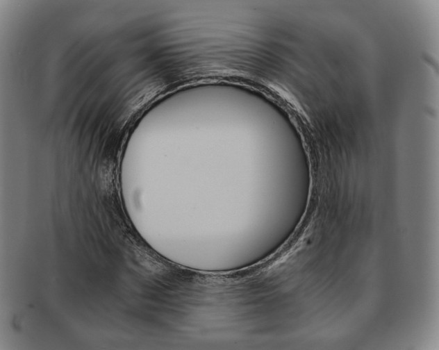 X0000091650873200708231008