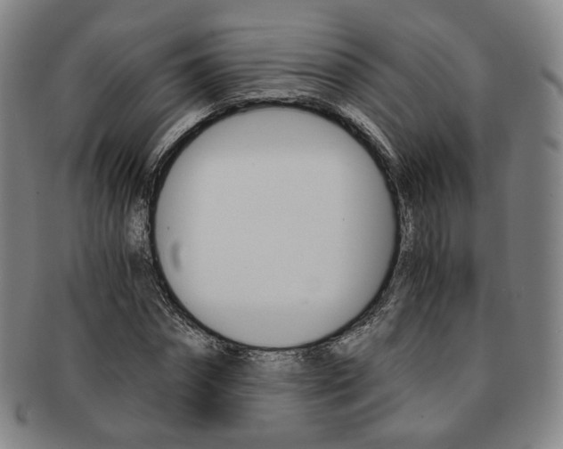 X0000091650874200708231008