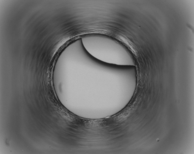 X0000091650875200708231008