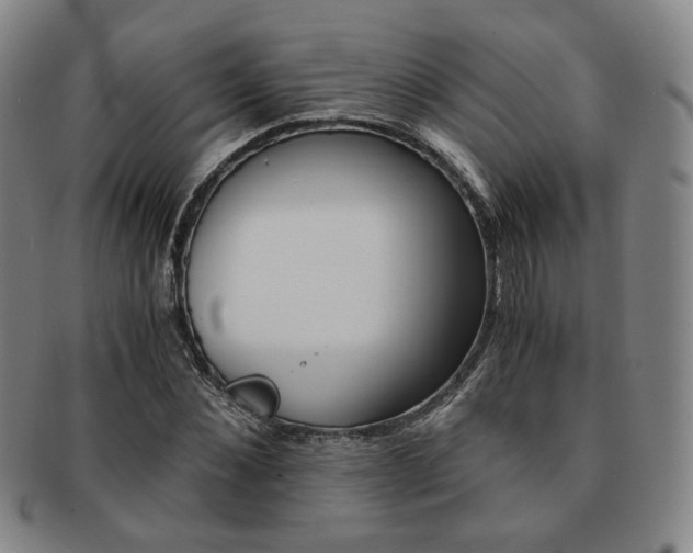 X0000091650876200708231008
