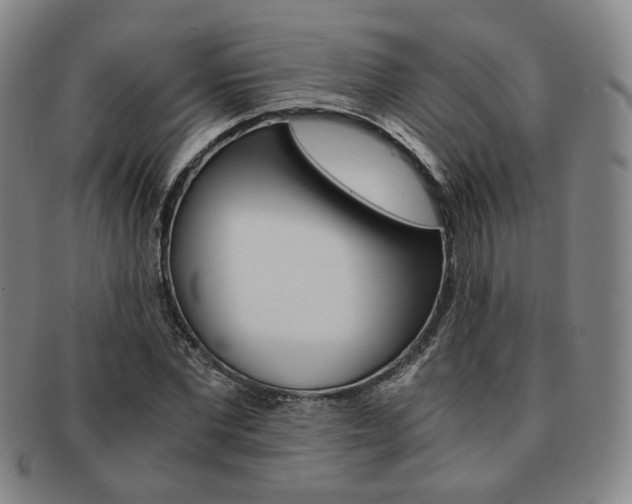 X0000091650877200708231008