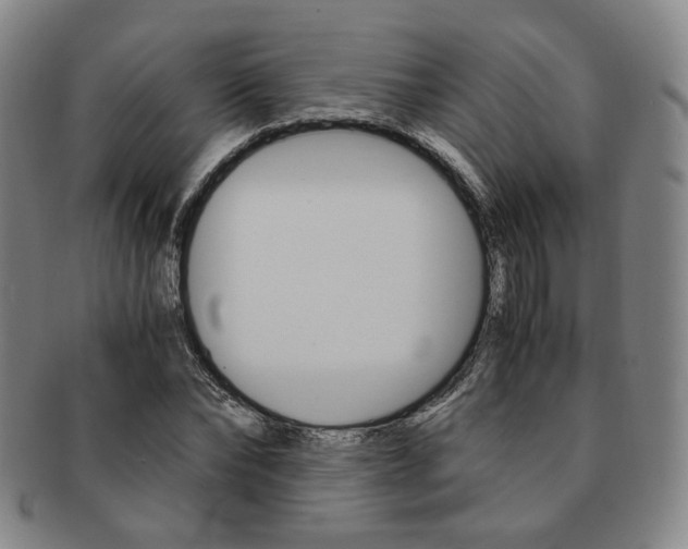 X0000091650878200708231008