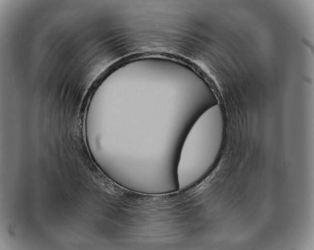 X0000091650879200708231008