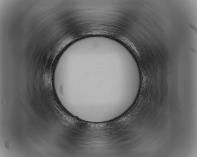 X0000091650882200708231008