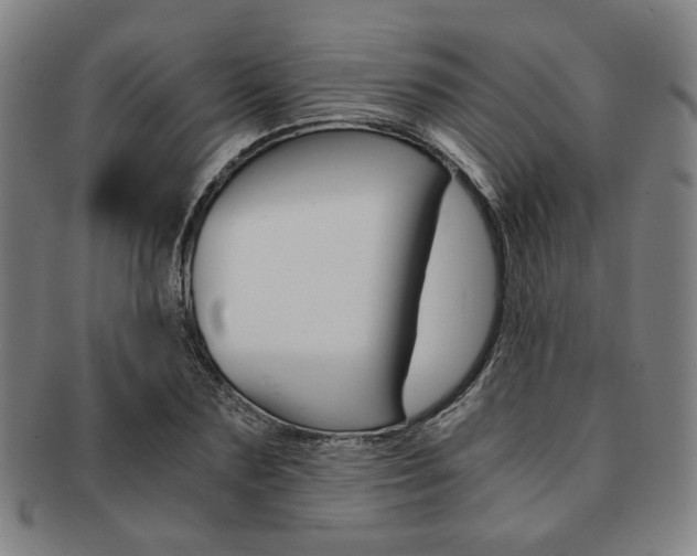 X0000091650883200708231008