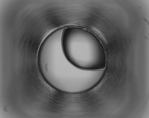 X0000091650884200708231008