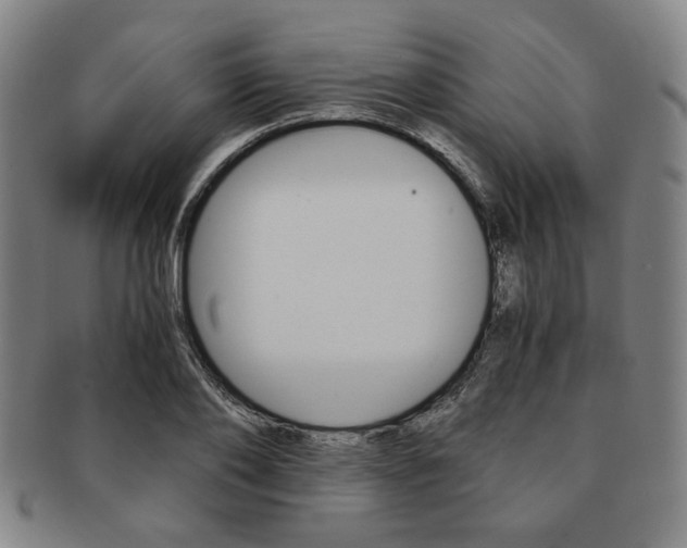 X0000091650886200708231008