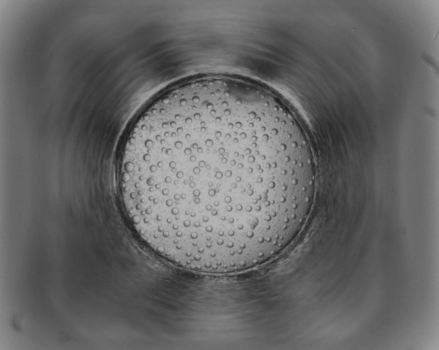 X0000091650887200708231008