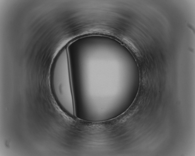 X0000091650888200708231008