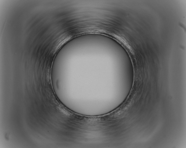 X0000091650889200708231007