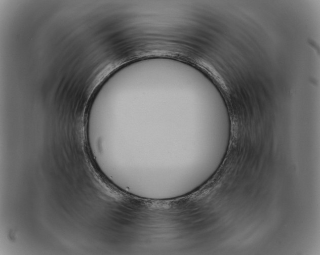 X0000091650890200708231007