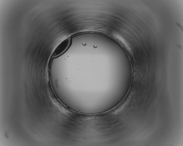 X0000091650892200708231007