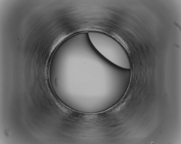 X0000091650893200708231007