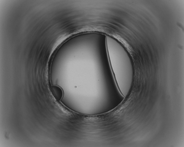 X0000091650894200708231007