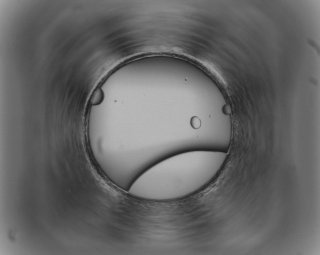 X0000091650895200708231007