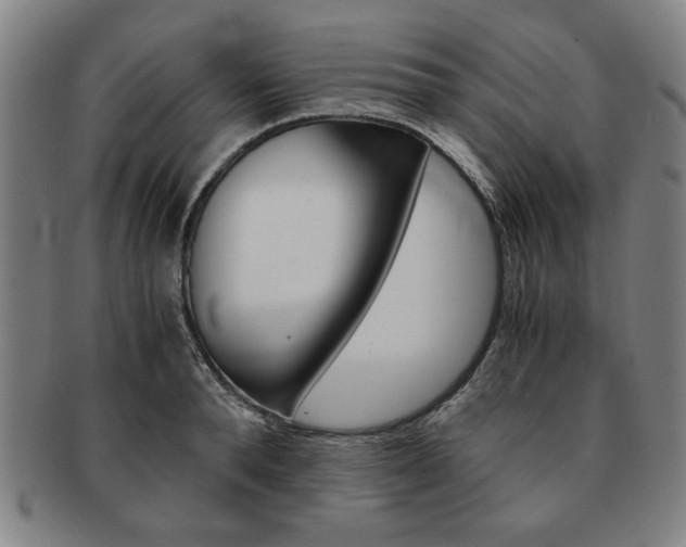 X0000091650896200708231007