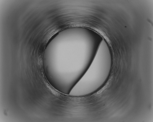 X0000091650897200708231007