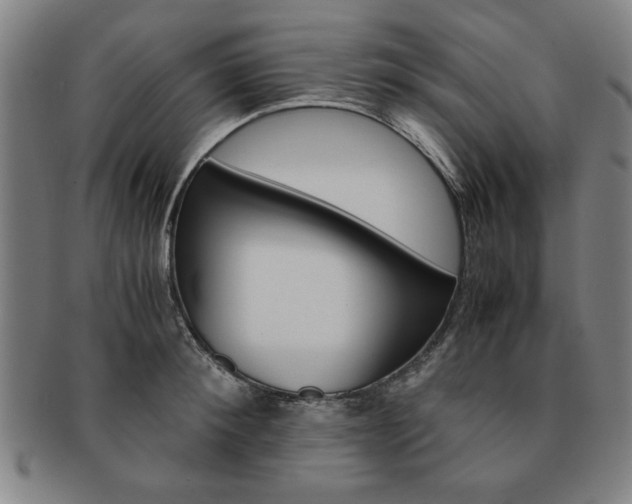X0000091650900200708231007