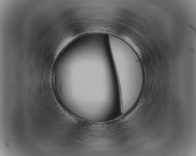 X0000091650901200708231007