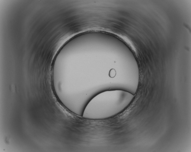 X0000091650903200708231007
