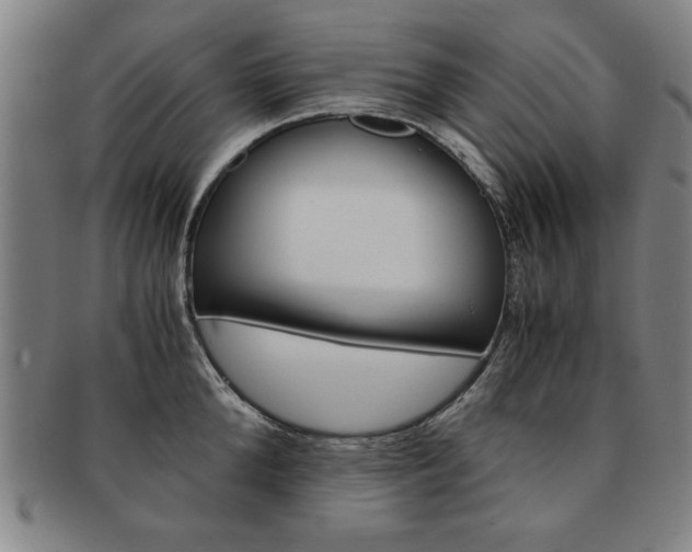 X0000091650904200708231007
