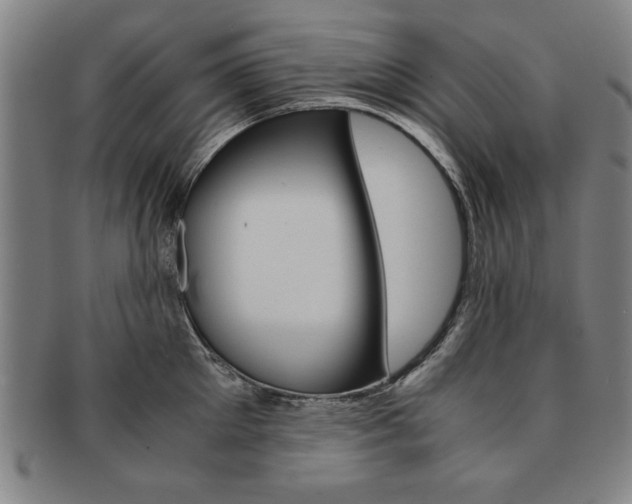 X0000091650905200708231007