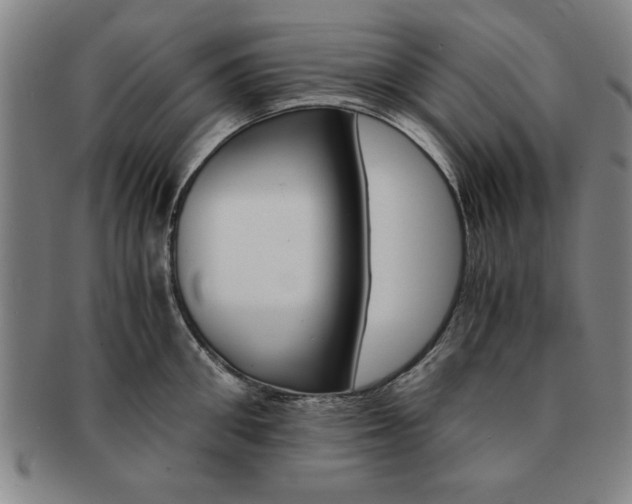X0000091650906200708231007