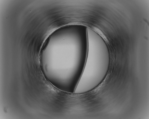 X0000091650908200708231007