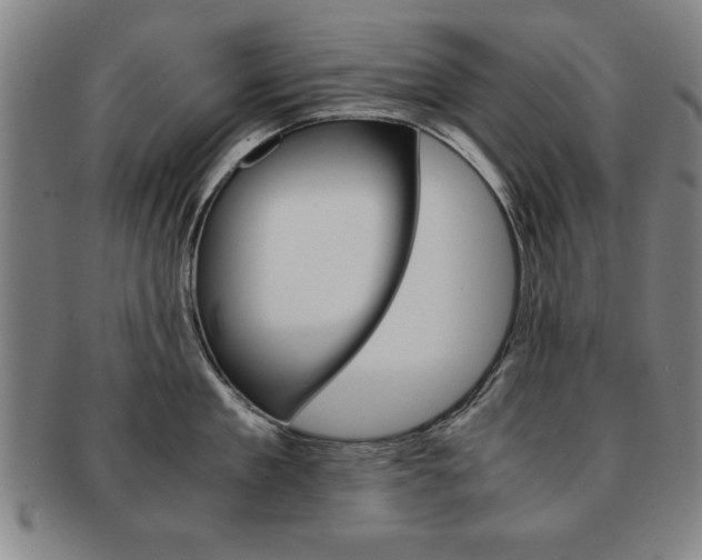 X0000091650909200708231007