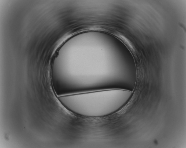 X0000091650910200708231007