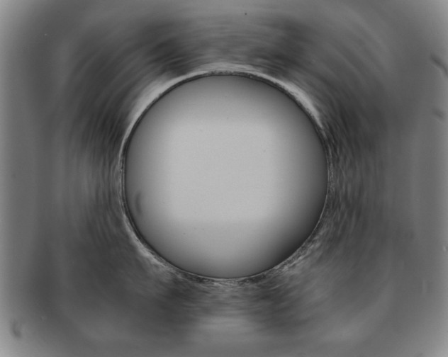 X0000091650911200708231007