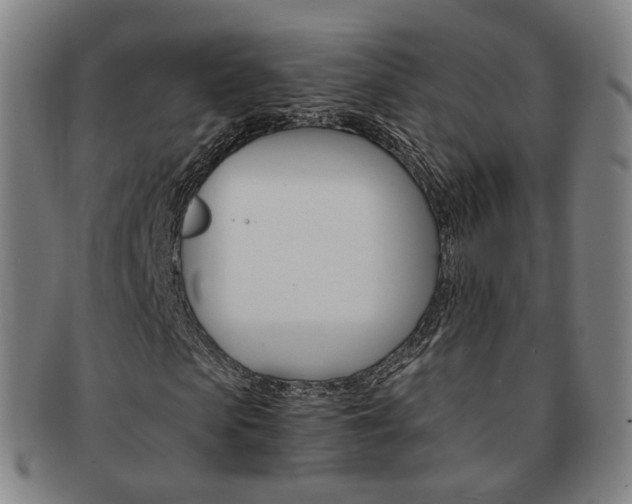 X0000091650913200708231006
