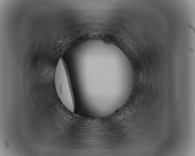 X0000091650914200708231006