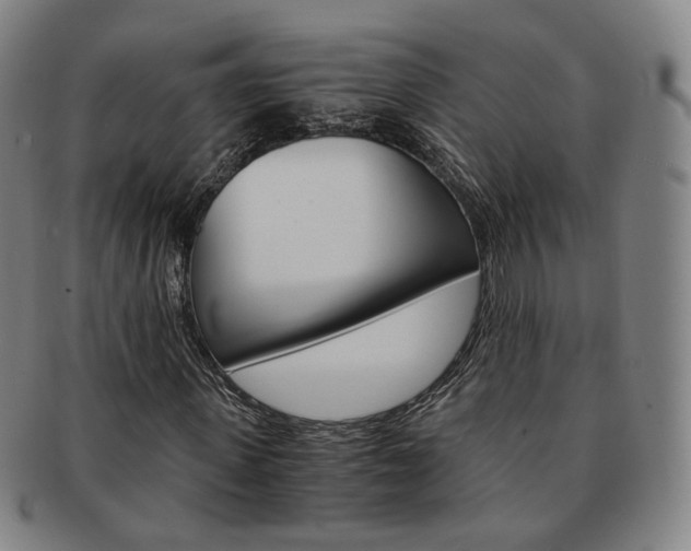 X0000091650915200708231006