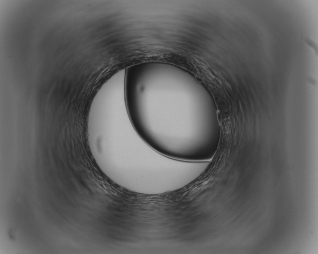 X0000091650916200708231006