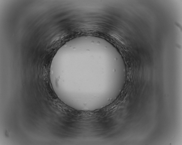 X0000091650917200708231006