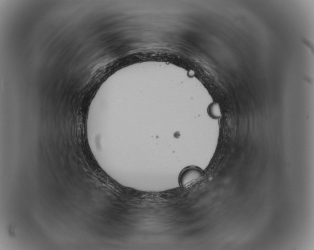 X0000091650918200708231006