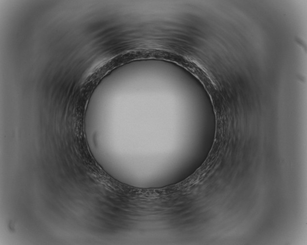 X0000091650919200708231006