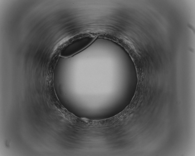 X0000091650920200708231006